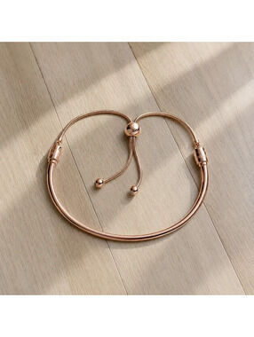 Pandora Rose Flower Stem Slider Bracelet 14k Rose Gold Plated CZ